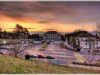 onu-