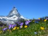 zermatt-le-cervin